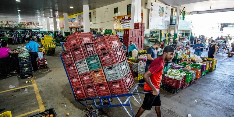 Faturamento de frutas e vegetais crescerá 33% até 2029